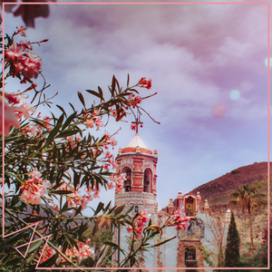 青色大脑cg分享
